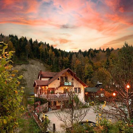 ボル Abant Doga Koeskue Bed & Breakfast エクステリア 写真