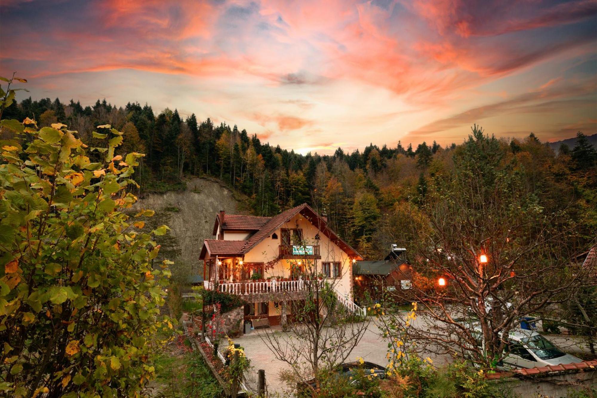 ボル Abant Doga Koeskue Bed & Breakfast エクステリア 写真